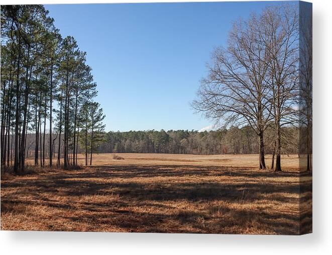 Forest Canvas Print featuring the photograph A Piedmont Refuge Look by Ed Williams