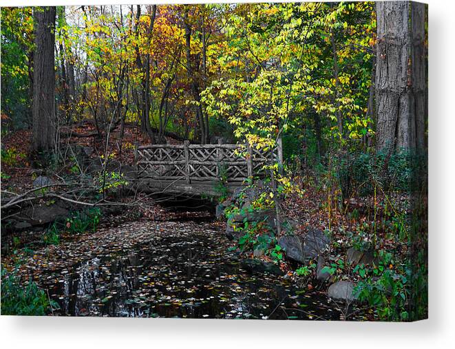 Rustic Canvas Print featuring the photograph A Rustic Bridge in the Ramble - A Central Park Impression by Steve Ember