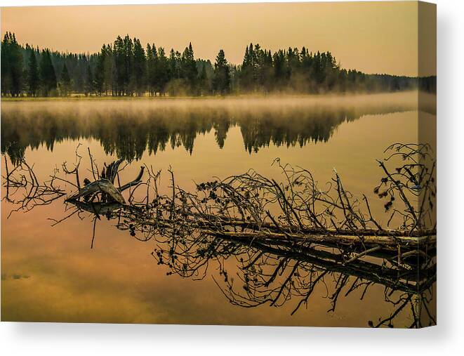 Yellowstone Canvas Print featuring the photograph A smoky Morning on the Yellowstone by Gary Felton