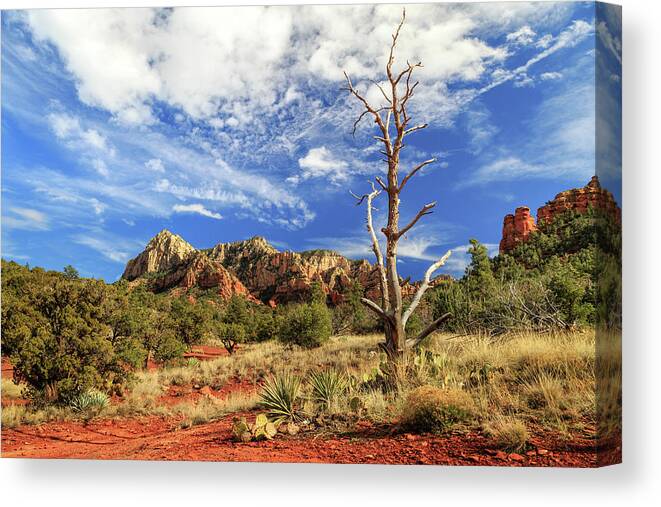 Sedona Canvas Print featuring the photograph A Snag In Sedona by James Eddy