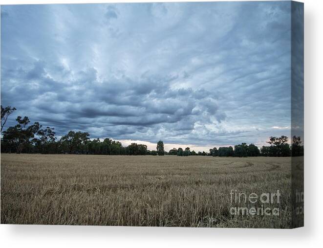 Farm Canvas Print featuring the photograph A Summer Storm Brewing by Linda Lees