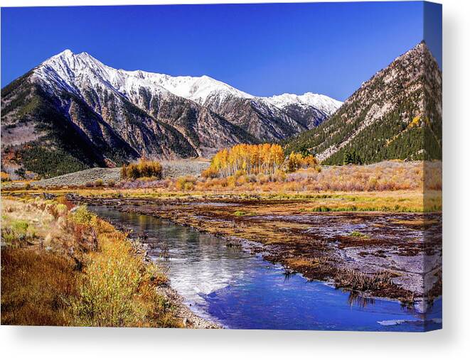 Nature Canvas Print featuring the photograph A Touch of Gold by Harold Rau