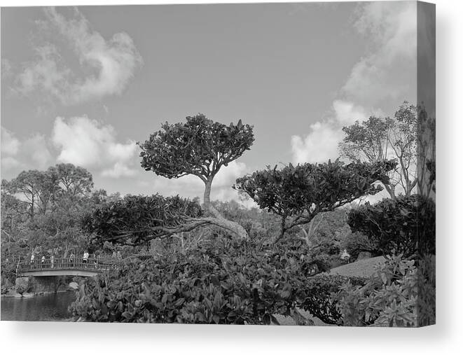 Landscape Canvas Print featuring the photograph A Tree in a Japanese Garden #2 by Alan Goldberg