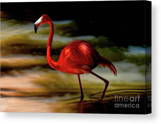 Flamingo Canvas Print featuring the photograph A Wading Bird at Daybreak by Diana Mary Sharpton