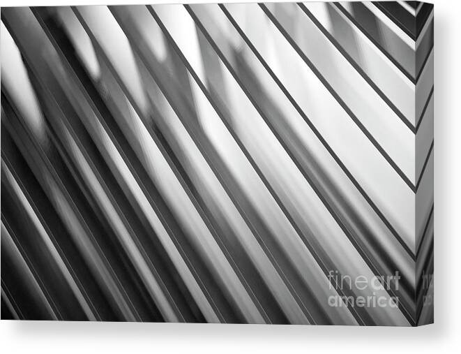 Abstract Canvas Print featuring the photograph Abstract 23 by Tony Cordoza