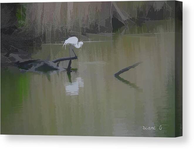 Abstract Egret Canvas Print featuring the photograph Abstract Egret by Diane Giurco