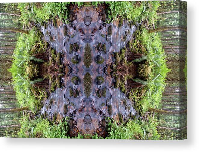 Nature Canvas Print featuring the photograph Adventures on Mirror Creek #2 Horizontal by Ben Upham III