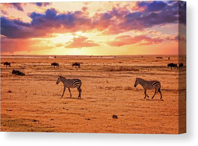 Africa Canvas Print featuring the photograph African sunset by Mitchell R Grosky