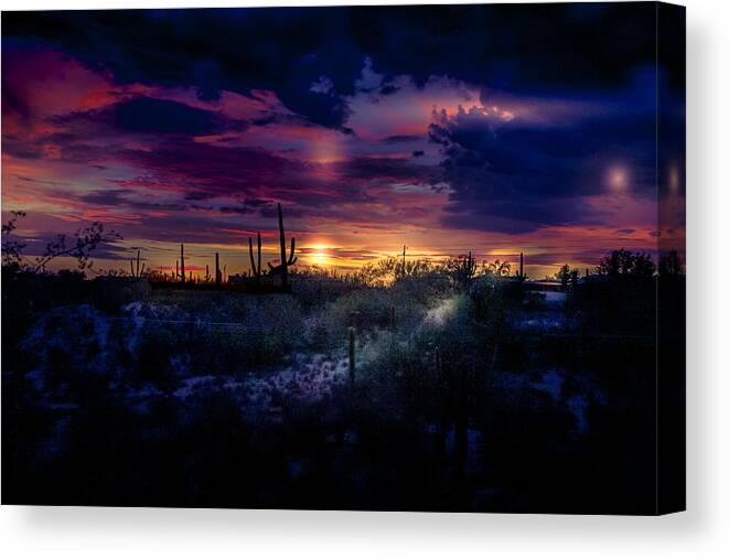 Tucson Canvas Print featuring the photograph After the monsoon by Micah Offman