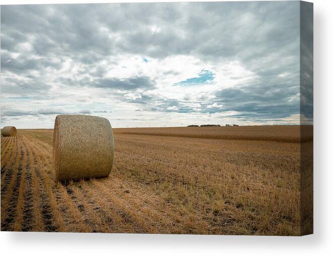 Harvest Canvas Print featuring the photograph After the wheat harvest in Alberta by Karen Rispin