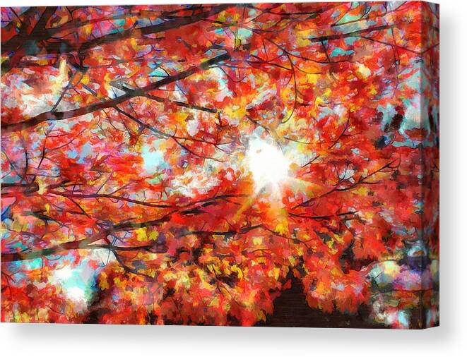 Sun Canvas Print featuring the photograph Afternoon's Fading Light by Christopher Reed