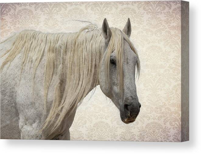 Wild Horses Canvas Print featuring the photograph Aged to Perfection by Mary Hone