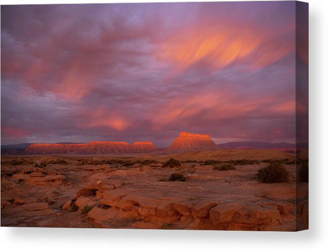 Utah Canvas Print featuring the photograph Alight by Dustin LeFevre