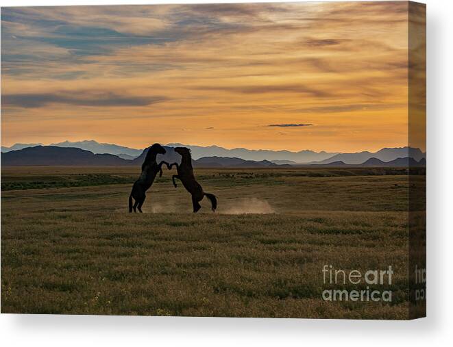 Nikon Canvas Print featuring the photograph Always have an open heart by Nicole Markmann Nelson