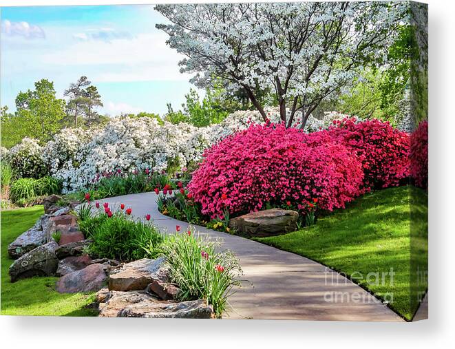 Nature Canvas Print featuring the photograph Among the Azeleas by Susan Vineyard