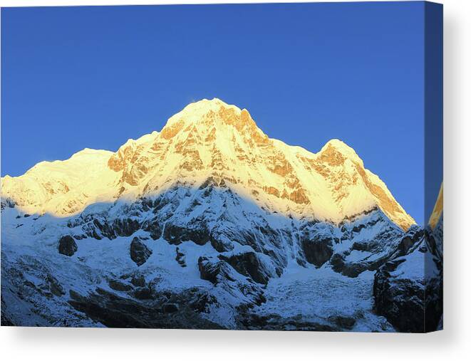 Nepal Canvas Print featuring the photograph Annapurna mountain snow sunrise Restaurant Decoration by Josu Ozkaritz