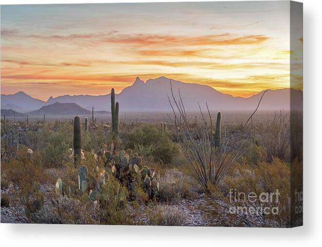 Desert Canvas Print featuring the photograph Another Sonoran Sunrise by Jeff Hubbard