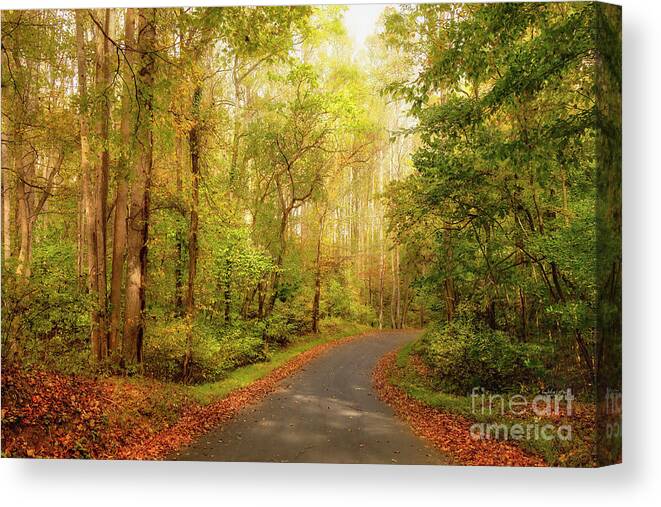 Autumn Canvas Print featuring the photograph Appalachian Backroads in Autumn by Shelia Hunt