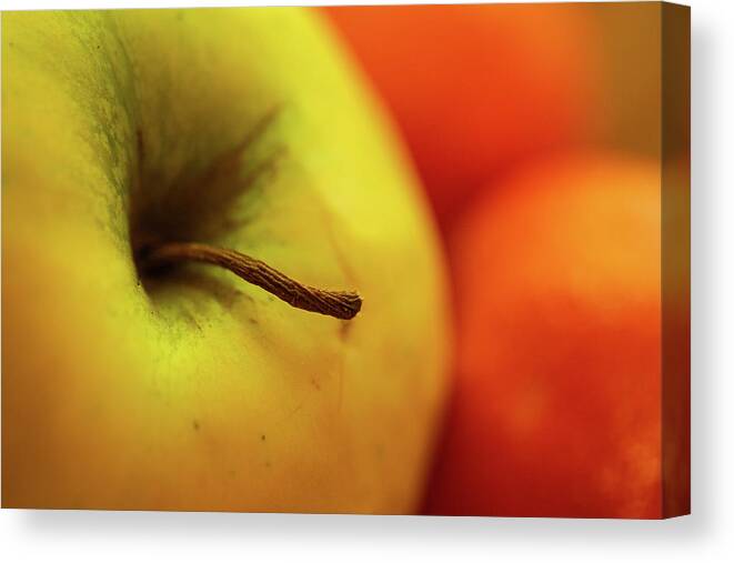 Fruit Canvas Print featuring the photograph Apple and Oranges by Bob Cournoyer