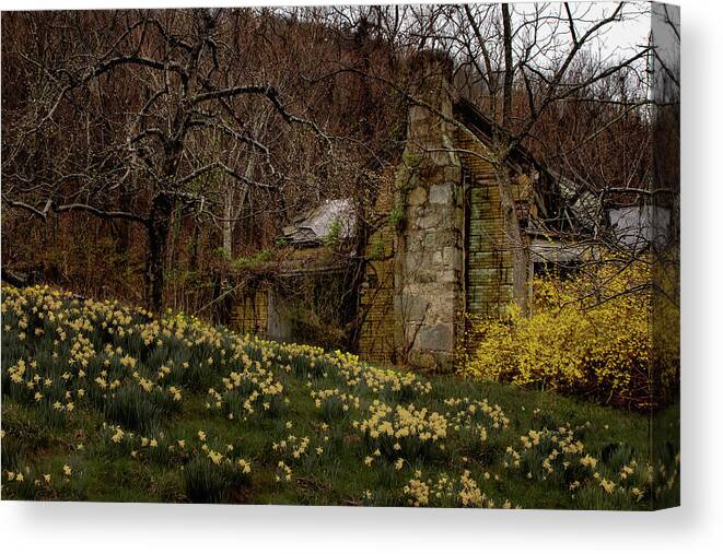 Apple Orchard Canvas Print featuring the photograph Apple Valley Ruins by Norma Brandsberg