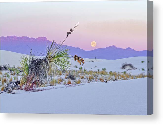 New Mexico Canvas Print featuring the photograph April 2020 Moonset over White Sands by Alain Zarinelli