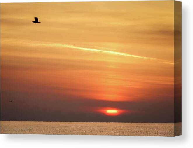 Sunrise Canvas Print featuring the photograph April Sunrise, Irish Sea by Sublime Ireland