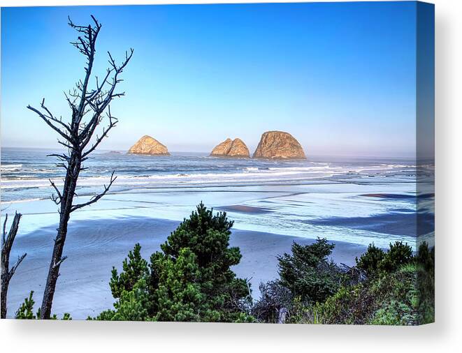 Beach Canvas Print featuring the photograph Arch Cape by Loyd Towe Photography