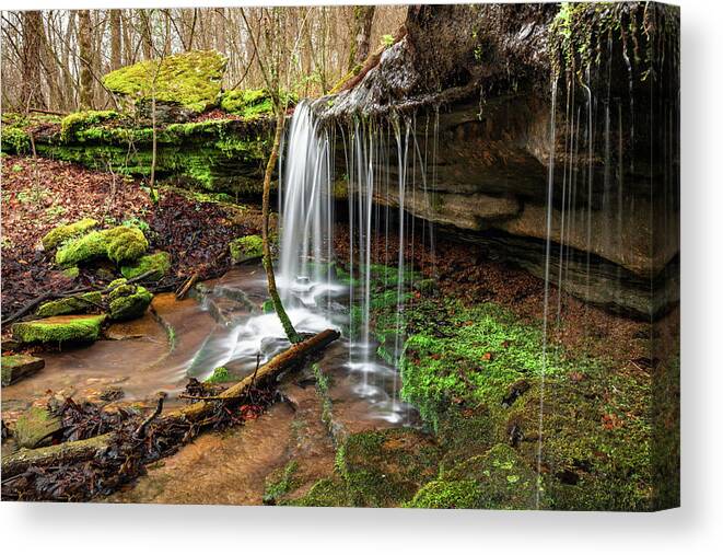 Arkansas Waterfall Canvas Print featuring the photograph Arkansas Warm Fork River Tributary Waterfall - Tea Kettle Falls Trail by Gregory Ballos