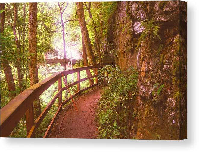 Mammoth Cave National Park Canvas Print featuring the photograph Around the Dark Forest Bend by Stacie Siemsen