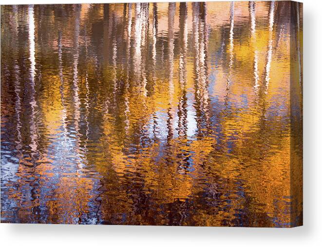Aspens Canvas Print featuring the photograph Aspen Reflection by The Forests Edge Photography - Diane Sandoval