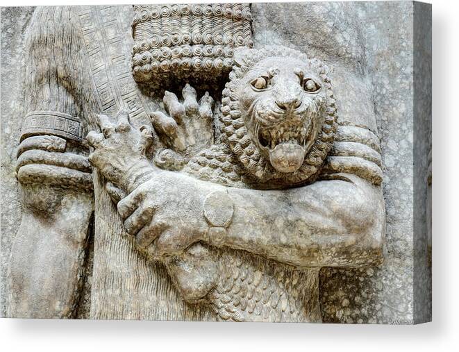 Assyrian Lion Canvas Print featuring the photograph Assyrian Lion by Weston Westmoreland