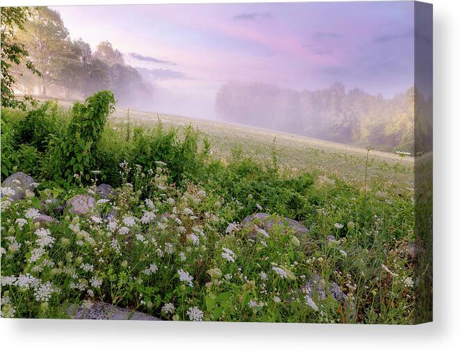 Queen Annes Lace Canvas Print featuring the photograph August Sunrise by Bill Wakeley