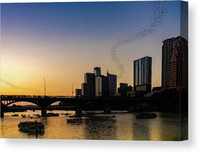 2019 Canvas Print featuring the photograph Austin Bats by Erin K Images