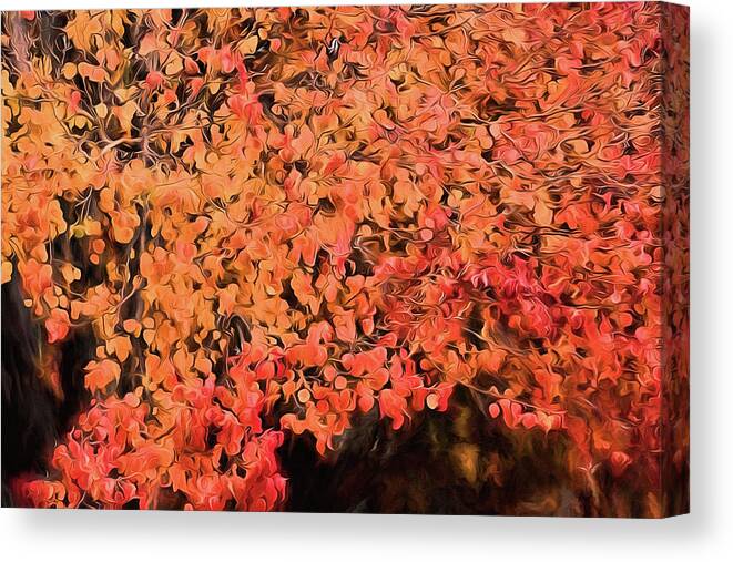 Autumn Color Canvas Print featuring the digital art Autumn Abstract 1 by JC Findley