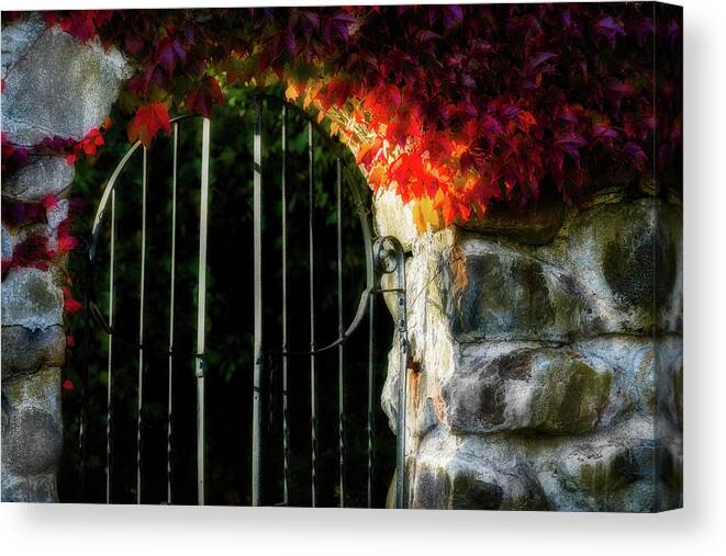 Fall Foliage Canvas Print featuring the photograph Autumn Arch by Michael Hubley