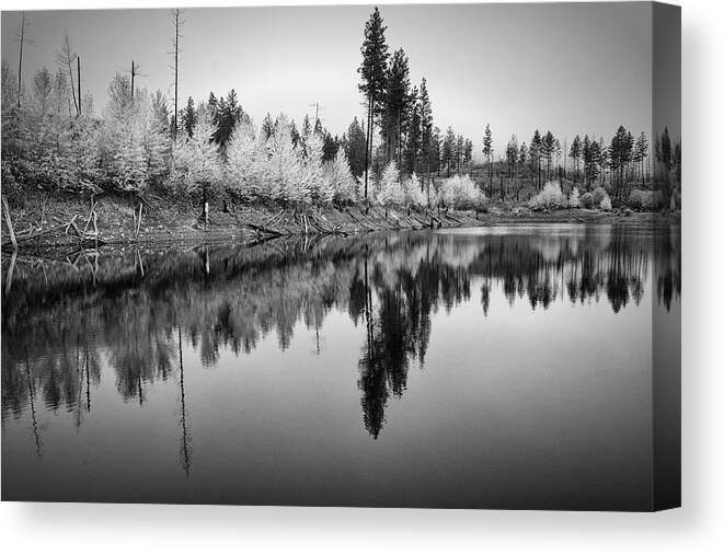 Landscape Canvas Print featuring the photograph Autumn Arrow Black and White by Allan Van Gasbeck