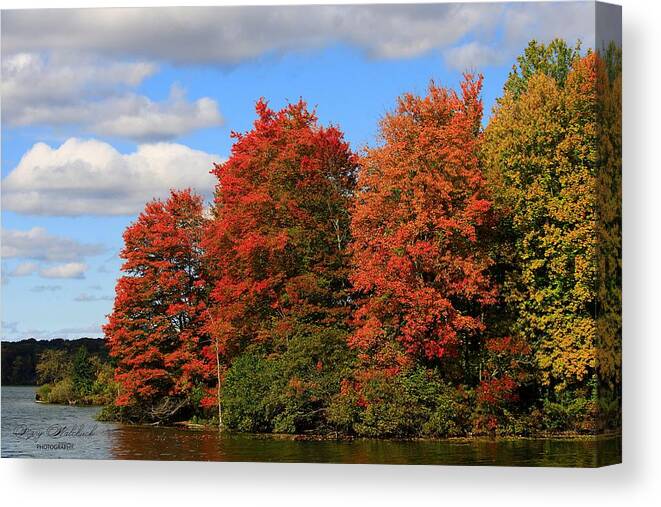 Fall Colors Canvas Print featuring the photograph Autumn Beauty by Mary Walchuck