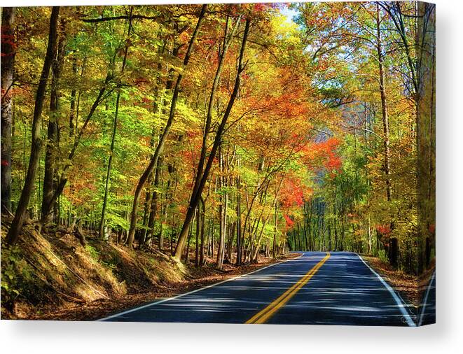 Autumn Canvas Print featuring the photograph Autumn Colors along a road by Dee Browning