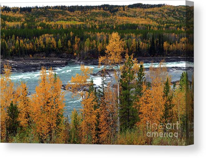Autumn Canvas Print featuring the photograph Autumn Colours - British Columbia by Phil Banks