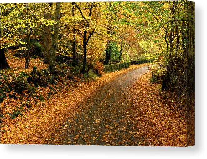 Donegal Canvas Print featuring the photograph Autumn - Ramelton, Donegal by John Soffe