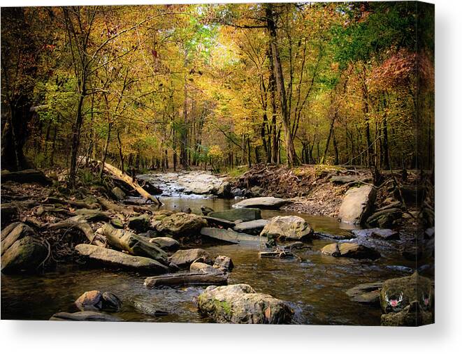 Creek Canvas Print featuring the photograph Autumn Creek by Pam Rendall
