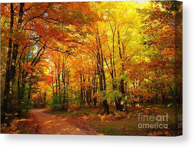 Red Canvas Print featuring the photograph Old Logging Road by Terri Gostola