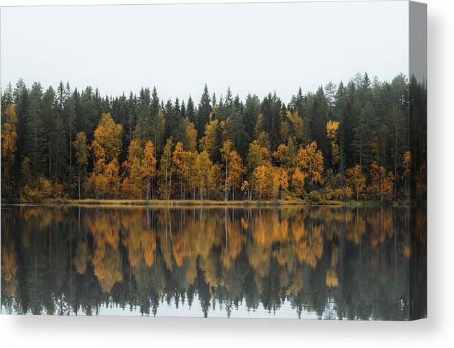Dramatic Canvas Print featuring the photograph Autumn fairy tale in Kainuu, Finland by Vaclav Sonnek