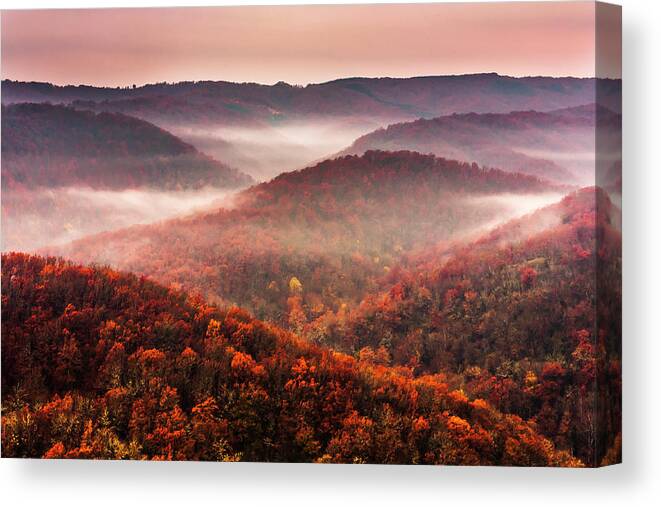 Bulgaria Canvas Print featuring the photograph Autumn Fogs by Evgeni Dinev