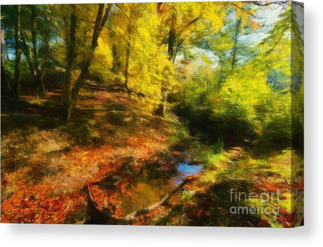 Forest Canvas Print featuring the photograph Autumn in the Forest by Eva Lechner