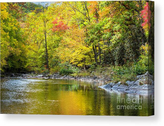 Smoky Mountains Canvas Print featuring the photograph Autumn in the Smoky Mountains by Theresa D Williams
