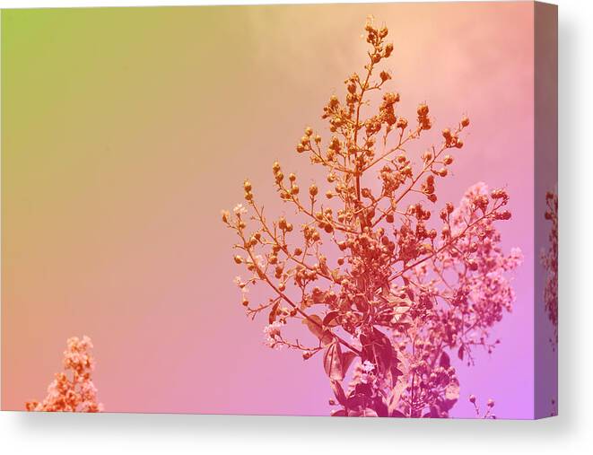 Autumn Canvas Print featuring the digital art Autumn Is Approaching by Angie Tirado
