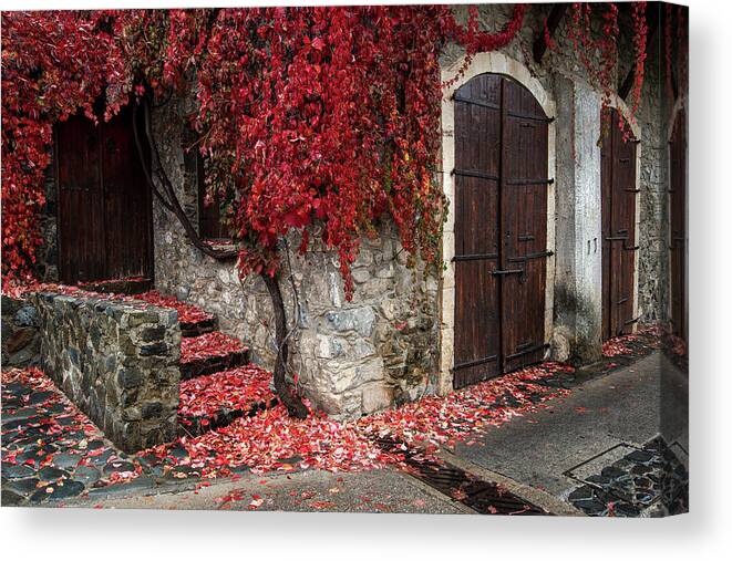 Autumn Canvas Print featuring the photograph Autumn landscape with red plants on a hous wall by Michalakis Ppalis