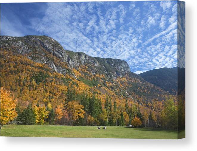 Tranquility Canvas Print featuring the photograph Autumn leaves on trees along mountain by David Henderson