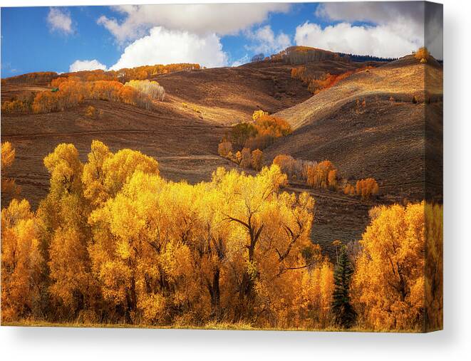 Autumn Canvas Print featuring the photograph Autumn Light Colorado by Andrew Soundarajan